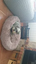 DEKO-cama de perro supersuave, caseta redonda mullidas de gato, cálida y cómoda, cojín para dormir, sofá lavable, felpa para cachorro