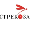 Shop5586192 Store