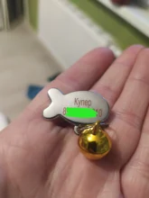 Id-Tag Collars Engraved French-Bulldog Small Dog For Chihuahua Name-Phone Cat Heart/square