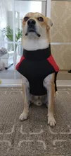 Ropa de invierno para perros, chaleco con cremallera cálido, acolchado e impermeable para mascotas, Carlino y Chihuahua pequeños y medianos