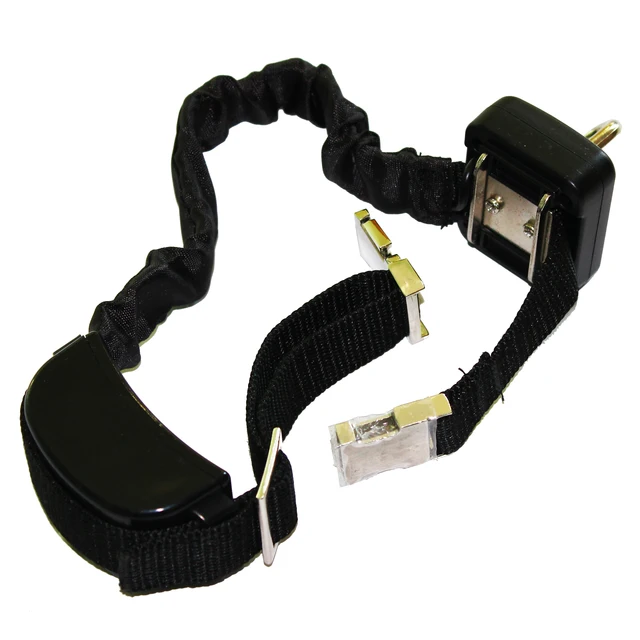 Dog Walking Training Device