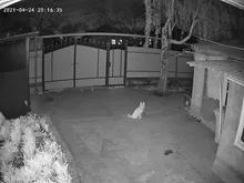 Techage sistema de cámaras de seguridad 8CH 5MP HD NVR POE Kit CCTV Audio de dos vías AI cara detectar vídeo de exterior de vigilancia IP Cámara