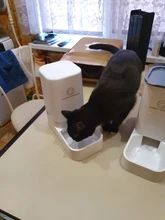 Pet-Bowl Pet-Autommatic Cats Water-Feeder/feeder-Device Small Lovefat for Fmedium