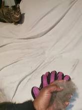 Towayer-guantes para quitar los guantes para gatos, guante de aseo para mascotas, masaje efectivo, peines para perros, guantes para cepillar, 1 ud.