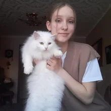 FSDA-suéter tejido tipo Chaleco con escote en V para mujer, Jersey informal de color caqui sin mangas, Jersey gris para otoño e invierno, 2020