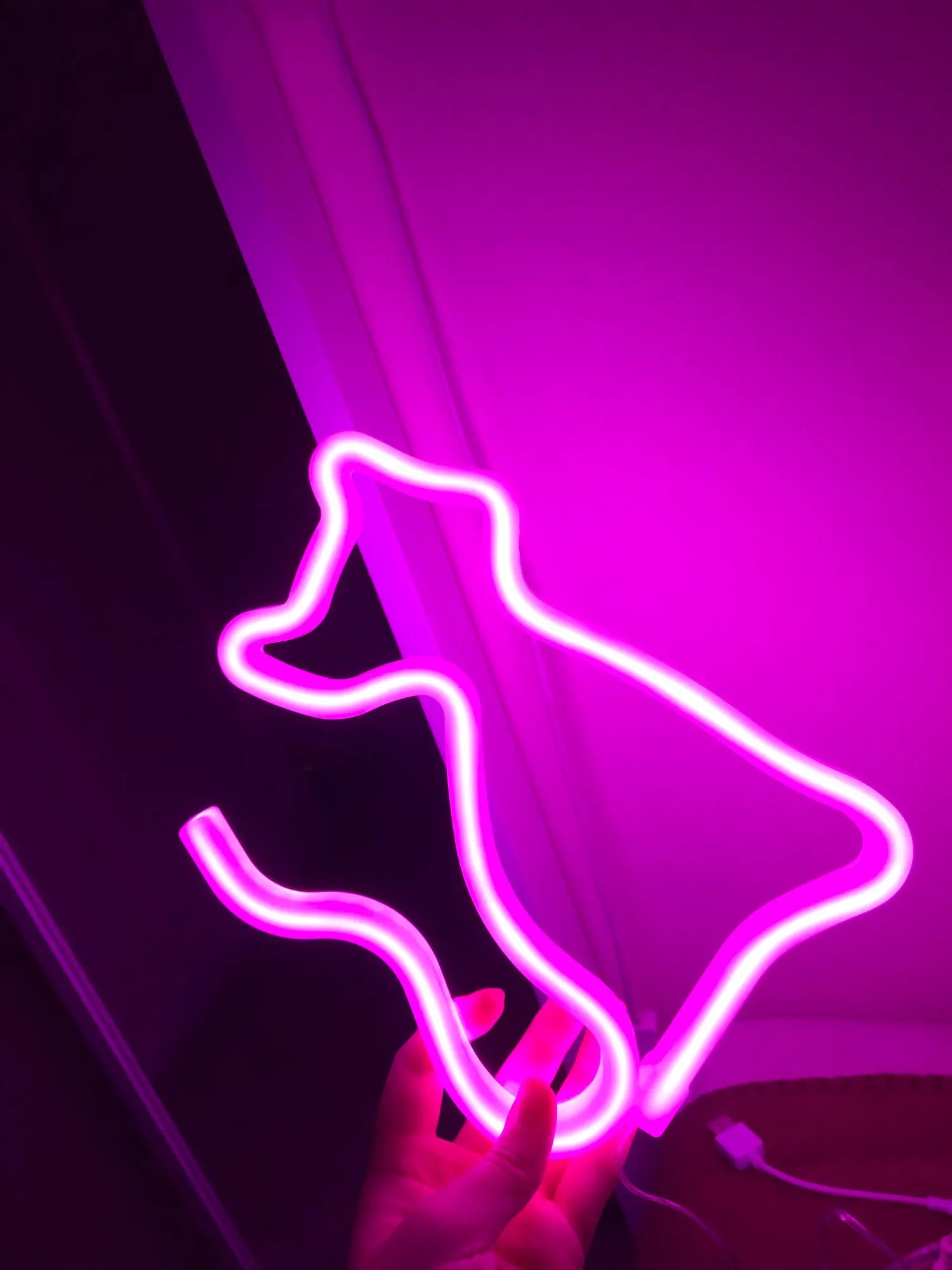 Cat Neon LED Lamp in vibrant colors4