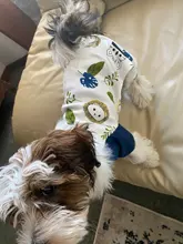 Pyjama Clothing Dog-Puppy-Jumpsuit Sleepingwear Warm Dogs Yorkshir-35 for Small Cat Medium