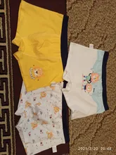 Ropa interior de algodón para niños, pantalones cortos de dibujos animados, bragas para bebés, bóxers a rayas, HH, 3 piezas