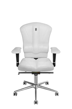 

Ergonomic armchair from Kulik System-VICTORY