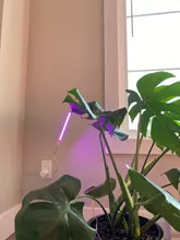 Grow-Light Phyto-Lamp Greenhouse-Vegetable-Seedling-Plant-Lighting USB Full-Spectrum