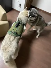 Vest Pouches Pet-Harness Dogs No-Pull Training Molle Military Hiking Tactical Large Medium