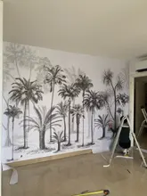 3d Wallpaper Mural Sofa-Background-Walls Rainforest Tropical Sketch Nordic Black White