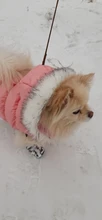Dog Cat Winter Warm Coat Jacket Dress Pet Puppy Hoodie Winter Warm Clothes Apperal