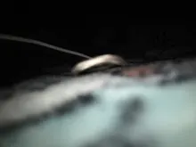 De Metal Anime ataque en las alas de la libertad titanium collar Shingeki no Kyojin collar cosplay collar de la encuesta