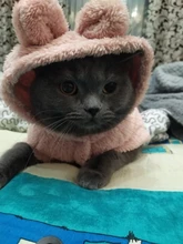 Cat Jacket Costume Yorkshire-Clothing Kitten Winter Warm for Small Medium Dogs Chihuahua