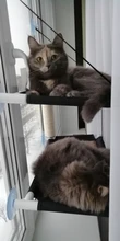 Bearing Hammock Cat Balcony Climbing Waterproof Sleeping-Mattress Cat-Bed-Cat Pet Fabric