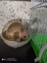 Cage-Box Toilet-House Hamster Mouse Small-Animals Bath for Sand-Room