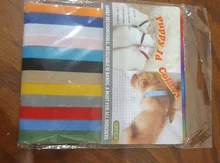 Puppy Collars Pet-Supplies Identification-Collar Small Dogs Kitten Whelping Bands Dogs