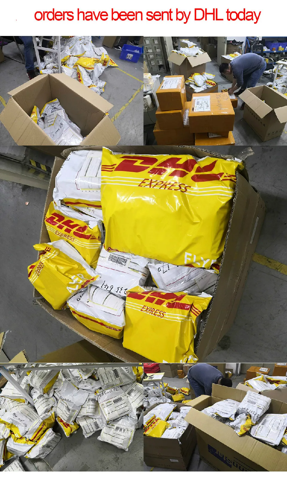 DHL2