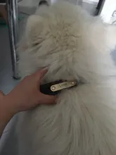 Pawstrip grabado Collar de perros de piel sintética Etiqueta de mascota Collar para perros Bulldog francés Pitbull, perro grande Collar de cachorro.