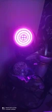 Growth-Light Flower Uv-Lamp Seedling Hydroponic Phyto Led Plant GU10 MR16 Full-Spectrum