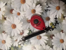 Dog Training Clicker Sound-Key Adjustable New Plastic Aid 1PC 4-Colors Wrist-Strap Pet-Cat