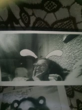 Cámara de impresión instantánea para niños Cámara instantánea para niños Cámara fotos infantil 1080P HD niño impresión instantánea Cámara juguetes para niños