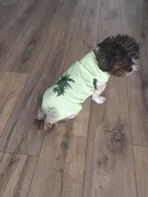 Ropa de perro para perros pequeños estampado bonito verano mascotas camiseta perro ropa chaleco para gatos mascota de algodón de T camisa Pug ropa trajes