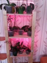 Phyto-Tape Flowers Seed-Plants Grow-Light Greenhouses Strip-0.5m USB Full-Spectrum 2835