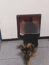 Gate Flap Closure-Door Door-Free Magnetic 4-Way Frame Pet-Dog-Cat Access