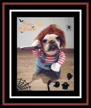 Dog Cosplay Costume-Sets Clothing Bulldog Funny Halloween Pug Large Medium for Adjustable