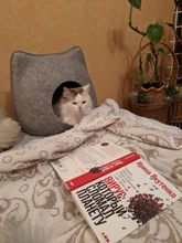 Cat-Bed Cushion Cats-Basket-Bags Nest Pet-Supplies Cave-Sleeping-Bag Zipper for Felt-Cloth