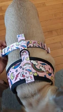 Arnés de Mascota para Bulldog Francés, correas pequeñas y medianas para perros, chaleco de cachorro francés, correa de plomo para perro que camina, productos para mascotas