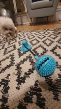 Toys Dogs-Toy Puppy-Suction-Cup Pet-Molar Dog-Interactive-Suction-Tug Chew-Ball Elasticity