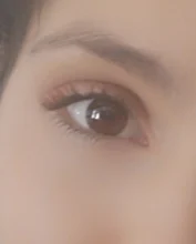 LEKOFO-pestañas magnéticas con 4 pares, 8 Uds., 5 uds.