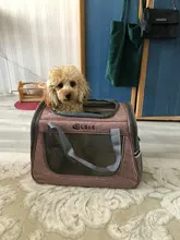 Carrier-Bag Pets-Handbag Pet-Puppy Dog Chihuahua Breathable Mesh Cat