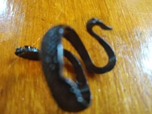 De moda Retro exagerado espíritu anillo de serpiente personalidad Punk viento con forma de serpiente Club anillo moda estudiantil de regalo de la joyería