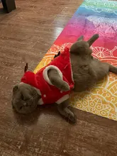 Christmas Dog Clothes Small Dogs Santa Costume for Pug Chihuahua Yorkshire Pet Cat Clothing