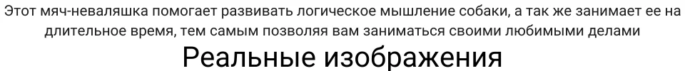 Лапомойка - это простое приспособление состоящие из пластмассового стака, в который вставляется щетка с мягкими силиконовыми ворсинками