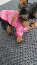 Ropa de Perro para perros pequeños de Jersey para Perro Ropa para perros de invierno Ropa de Chihuahua clásico mascota traje de Ropa Perro 20-22S1