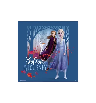 

PRINT 30X30 CM DISNEY FROZEN BELIEVE IN THE JOURNEY