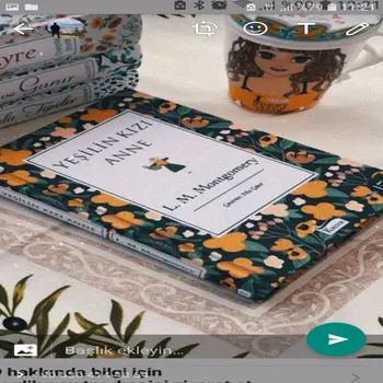 

Yeşilin Kızı Anne L. M. Montgomery Turkish fiction books from turkey free shipping book english language