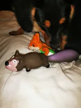 Juguete de látex con sonido para masticar, perro, cola larga de dibujos animados, forma de mapache