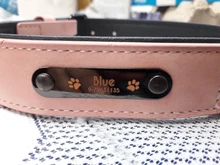 Leash Dog-Collar Bulldog Customized Padded Lead-Rope-Set And