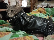 Pet Clothing Costumes Coat Kitten-Outfits Yorkshire Puppy Winter Warm Autumn for Chihuahua