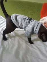 Invierno ropa para gato mascotas ropa de cachorros y perros sudaderas con capucha para pequeño mediano perros gato gatito Kitty trajes gatos abrigos chaquetas trajes