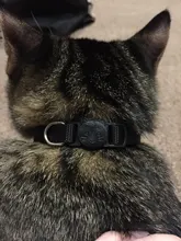 Cats Collar Necklace Bell Breakaway Kitty Custom Quick-Release Safety Personalized Puppy