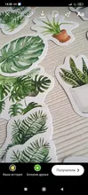 Plantas verdes de papel pequeño diario Mini japonés lindo caja pegatinas conjunto Scrapbooking lindo copos diario papelería