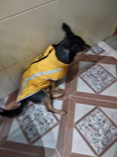 MySudui Medium Big Dog Winter Clothes For Dogs Pets Clothing Reflective Dog Jackets Outdoor