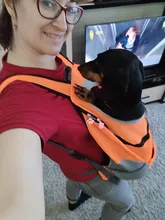 Mochila De viaje portátil plegable con doble hombro para mascotas, bolsa de transporte frontal de malla para perros y gatos